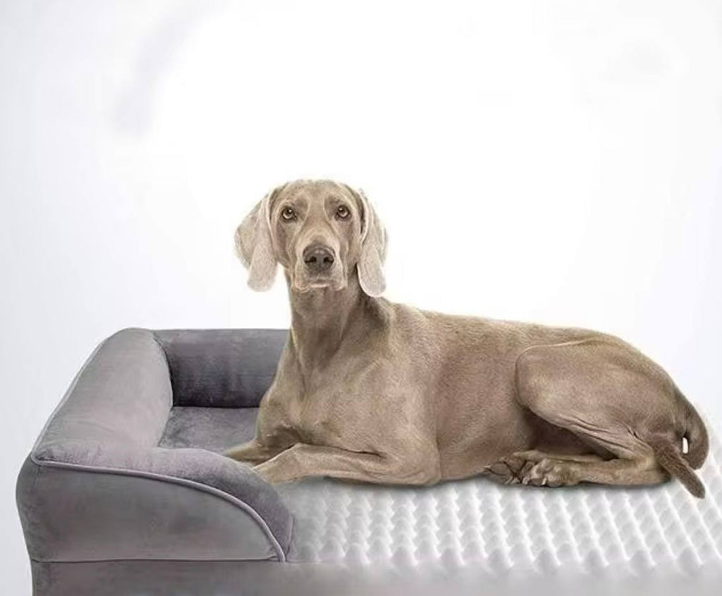 Orthopedic Memory Foam Dog Bed – Supports Comfort & Better Sleep