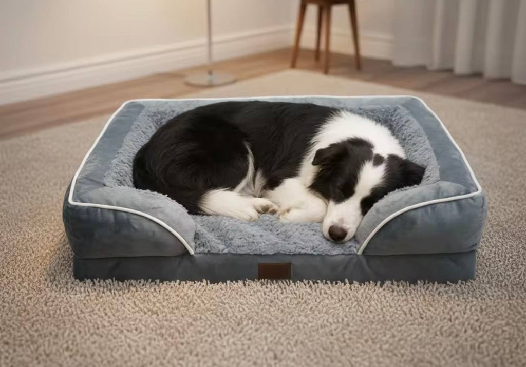 Orthopedic Memory Foam Dog Bed – Supports Comfort & Better Sleep
